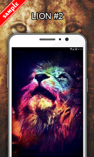Lion Wallpapers - عکس برنامه موبایلی اندروید