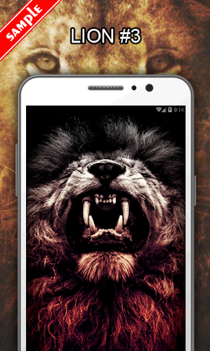 Lion Wallpapers - عکس برنامه موبایلی اندروید
