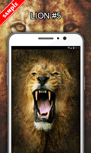 Lion Wallpapers - عکس برنامه موبایلی اندروید