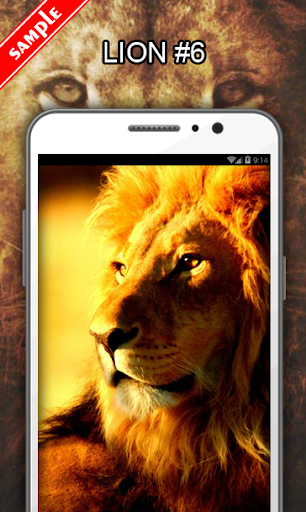 Lion Wallpapers - عکس برنامه موبایلی اندروید