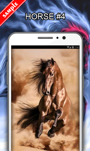 Horse Wallpapers - عکس برنامه موبایلی اندروید