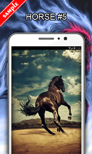 Horse Wallpapers - عکس برنامه موبایلی اندروید
