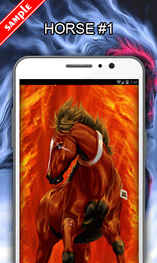 Horse Wallpapers - Image screenshot of android app