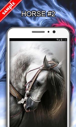 Horse Wallpapers - عکس برنامه موبایلی اندروید