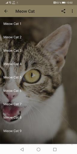 Cats sounds - عکس برنامه موبایلی اندروید