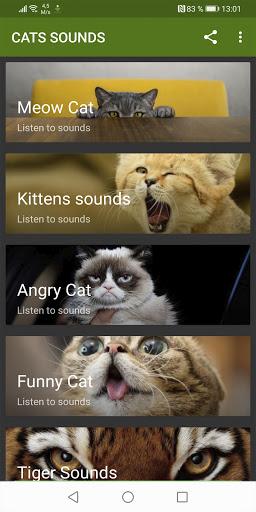 Cats sounds - عکس برنامه موبایلی اندروید