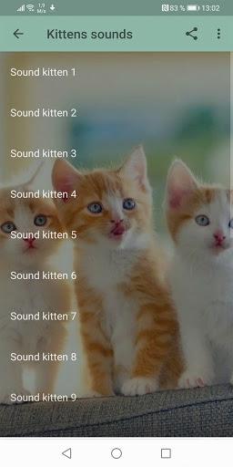 Cats sounds - عکس برنامه موبایلی اندروید