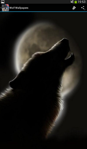 Wolf Wallpapers - عکس برنامه موبایلی اندروید