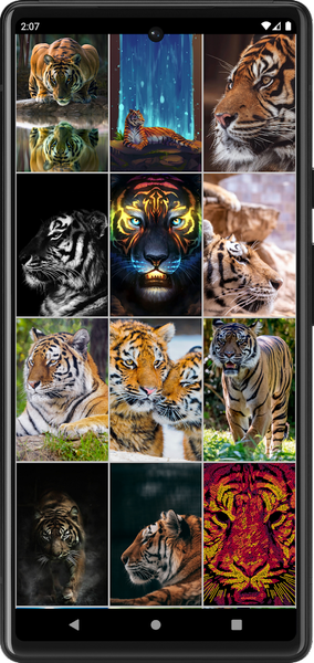 Tiger Wallpapers | Cool tigers - عکس برنامه موبایلی اندروید
