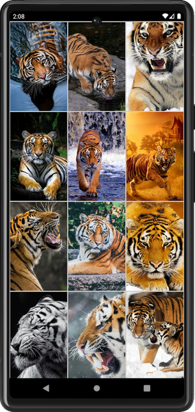 Tiger Wallpapers | Cool tigers - عکس برنامه موبایلی اندروید