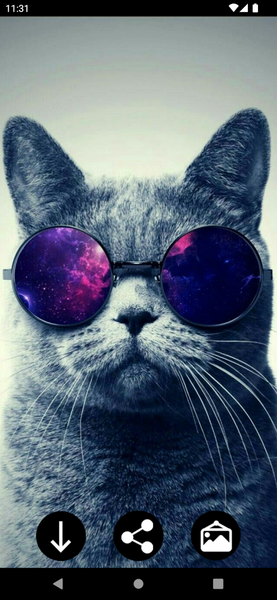 Hipster Wallpapers - عکس برنامه موبایلی اندروید