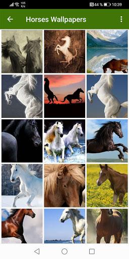 Horse Wallpapers - عکس برنامه موبایلی اندروید