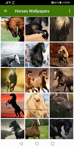 Horse Wallpapers - عکس برنامه موبایلی اندروید