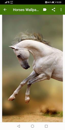 Horse Wallpapers - عکس برنامه موبایلی اندروید