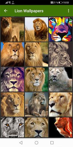 Lion Wallpapers - عکس برنامه موبایلی اندروید