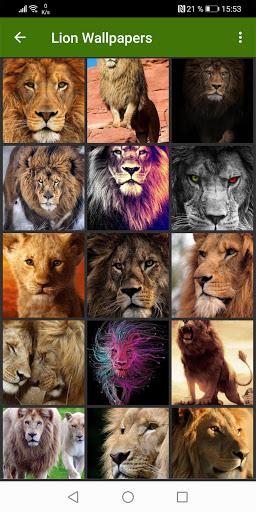 Lion Wallpapers - عکس برنامه موبایلی اندروید