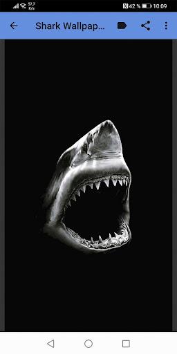 Shark Wallpapers - عکس برنامه موبایلی اندروید