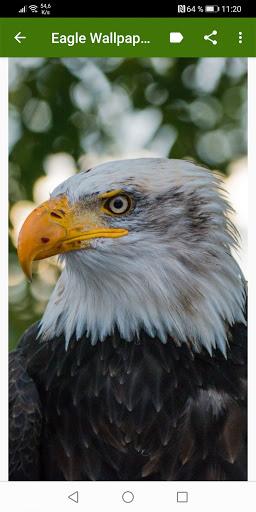 Eagle Wallpapers - عکس برنامه موبایلی اندروید