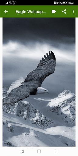 Eagle Wallpapers - عکس برنامه موبایلی اندروید