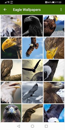 Eagle Wallpapers - عکس برنامه موبایلی اندروید