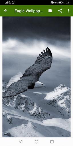 Eagle Wallpapers - عکس برنامه موبایلی اندروید