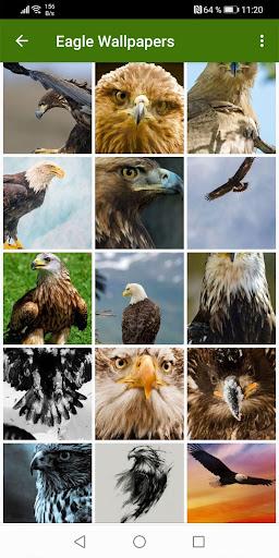 Eagle Wallpapers - Image screenshot of android app