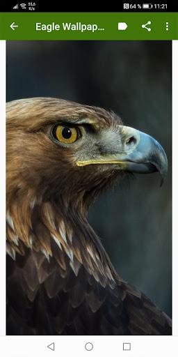 Eagle Wallpapers - عکس برنامه موبایلی اندروید