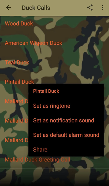 Duck Hunting Calls - Image screenshot of android app