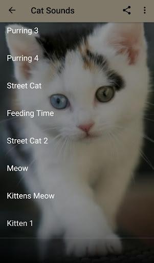 Cat Sounds Ringtones - عکس برنامه موبایلی اندروید