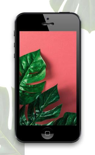 Tropical Wallpapers - Image screenshot of android app