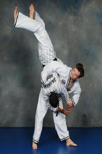 Hapkido - Image screenshot of android app