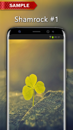 Shamrock Wallpapers - عکس برنامه موبایلی اندروید