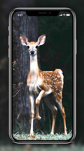 Deer Wallpapers - Image screenshot of android app