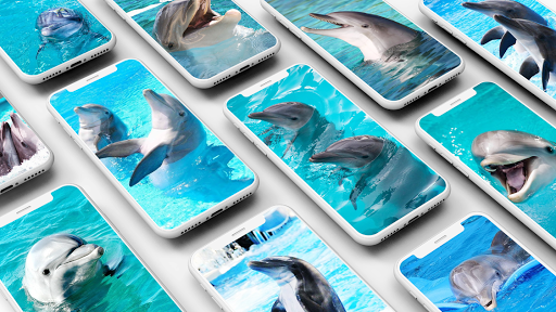 Dolphin Wallpaper - Image screenshot of android app