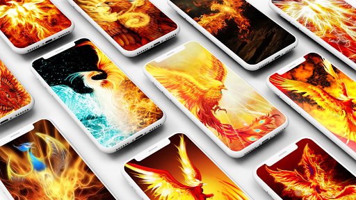 Phoenix Wallpapers - Image screenshot of android app
