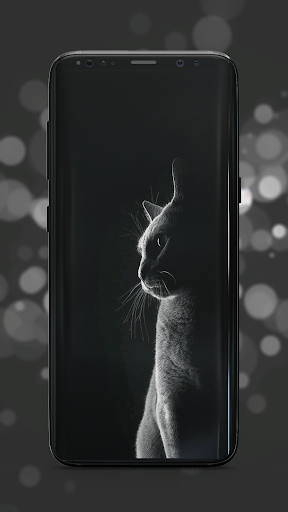 Black Wallpaper - Image screenshot of android app