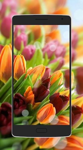 Flower Wallpaper - Image screenshot of android app