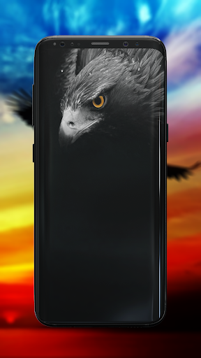 Eagle Wallpaper - Image screenshot of android app