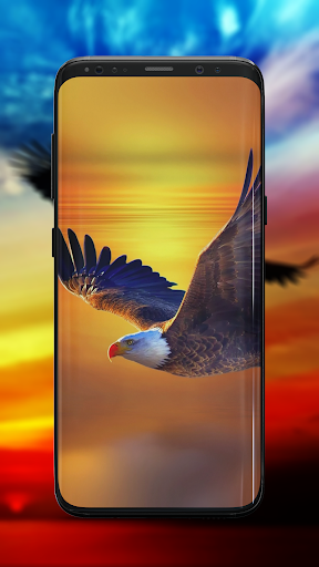 Eagle Wallpaper - Image screenshot of android app