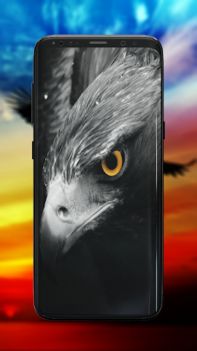 Eagle Wallpaper - Image screenshot of android app