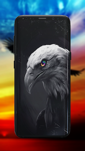 Eagle Wallpaper - Image screenshot of android app