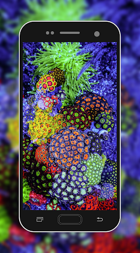 Coral Reef Wallpaper - Image screenshot of android app