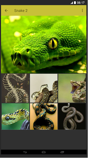 Snake Wallpaper - عکس برنامه موبایلی اندروید