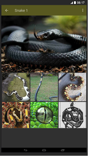 Snake Wallpaper - عکس برنامه موبایلی اندروید