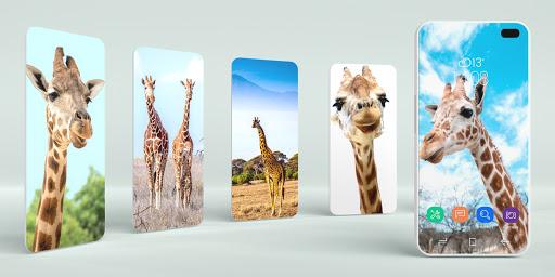 Giraffe Wallpapers - Image screenshot of android app