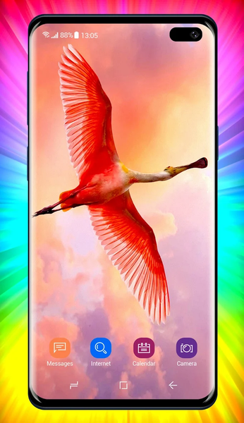 Flamingo Wallpaper - Image screenshot of android app