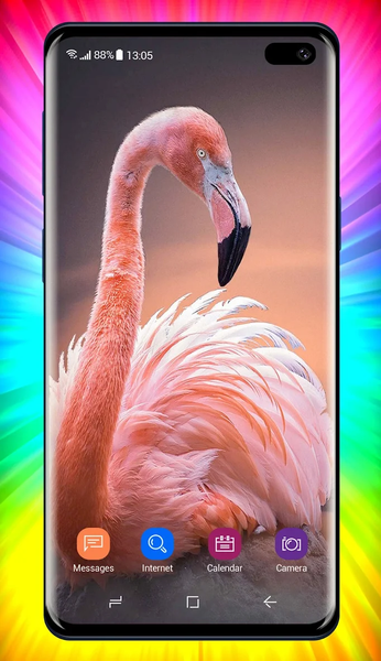 Flamingo Wallpaper - Image screenshot of android app