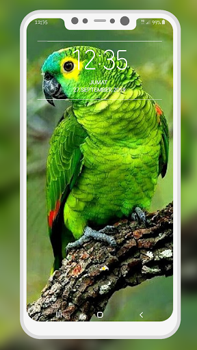 Bird Wallpaper - Image screenshot of android app