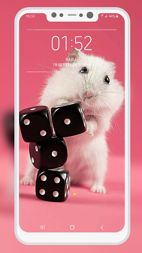 Hamster Wallpapers - Image screenshot of android app