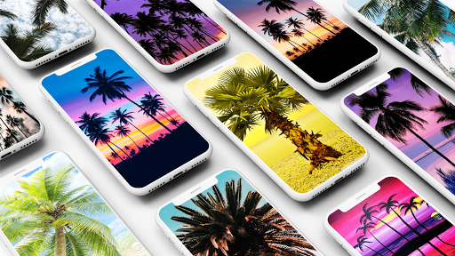 Palm Tree Wallpapers - عکس برنامه موبایلی اندروید